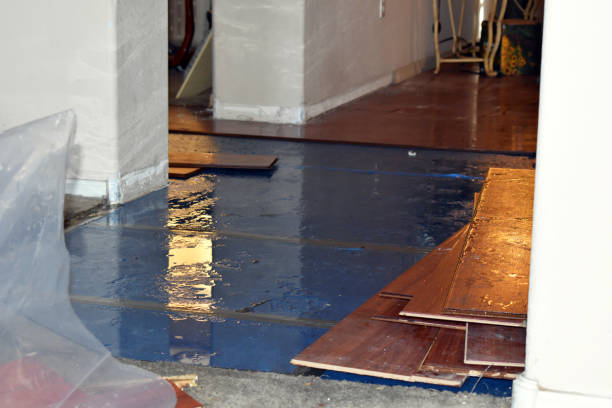 Professional Burst Pipe Cleanup technician working in Plymouth, OH